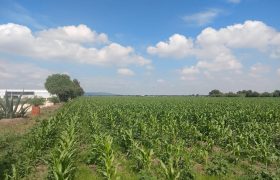Rancho San Salvador